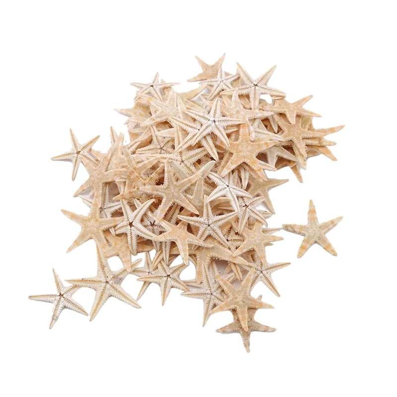 

100Pcs Natural Starfish Seashell Beach Craft Natural Sea Stars DIY Beach Wedding Decoration Crafts Home Decor 1-5Cm