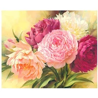 fsbcgt diy painting by numbers beautiful peony flower coloring by numbers adults for drawing on canvas art number decor