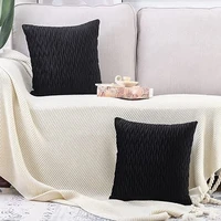 2 pcs super soft velvet decorative throw pillow covers 18x18 inch with texture cushion case pillow shell for sofa