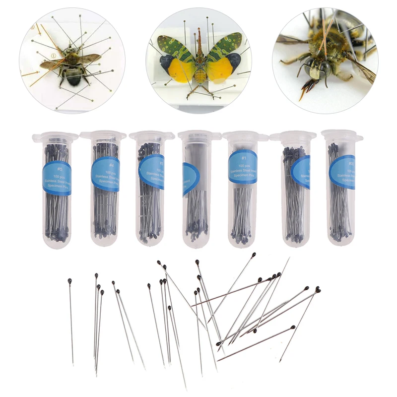 

100 Pcs Entomology Body Dissection Insect Needle Insect Pins Specimen Needle Stainless Steel With Plastic Box For School Lab