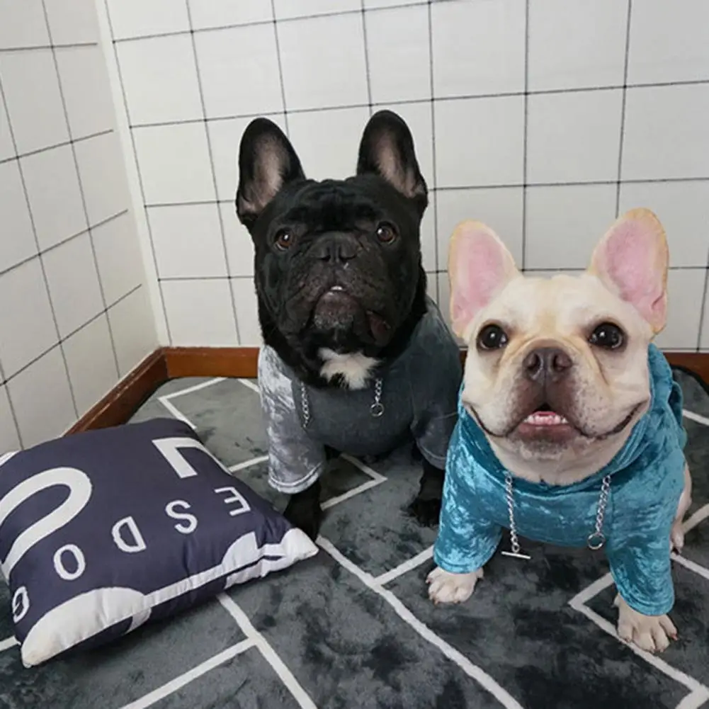

Comfortable Coral Fleece Dog Hoodie Fashionable Warm Dog Hoodie Comfortable Coral Fleece Pet Sweatshirt for Winter Premium Pet