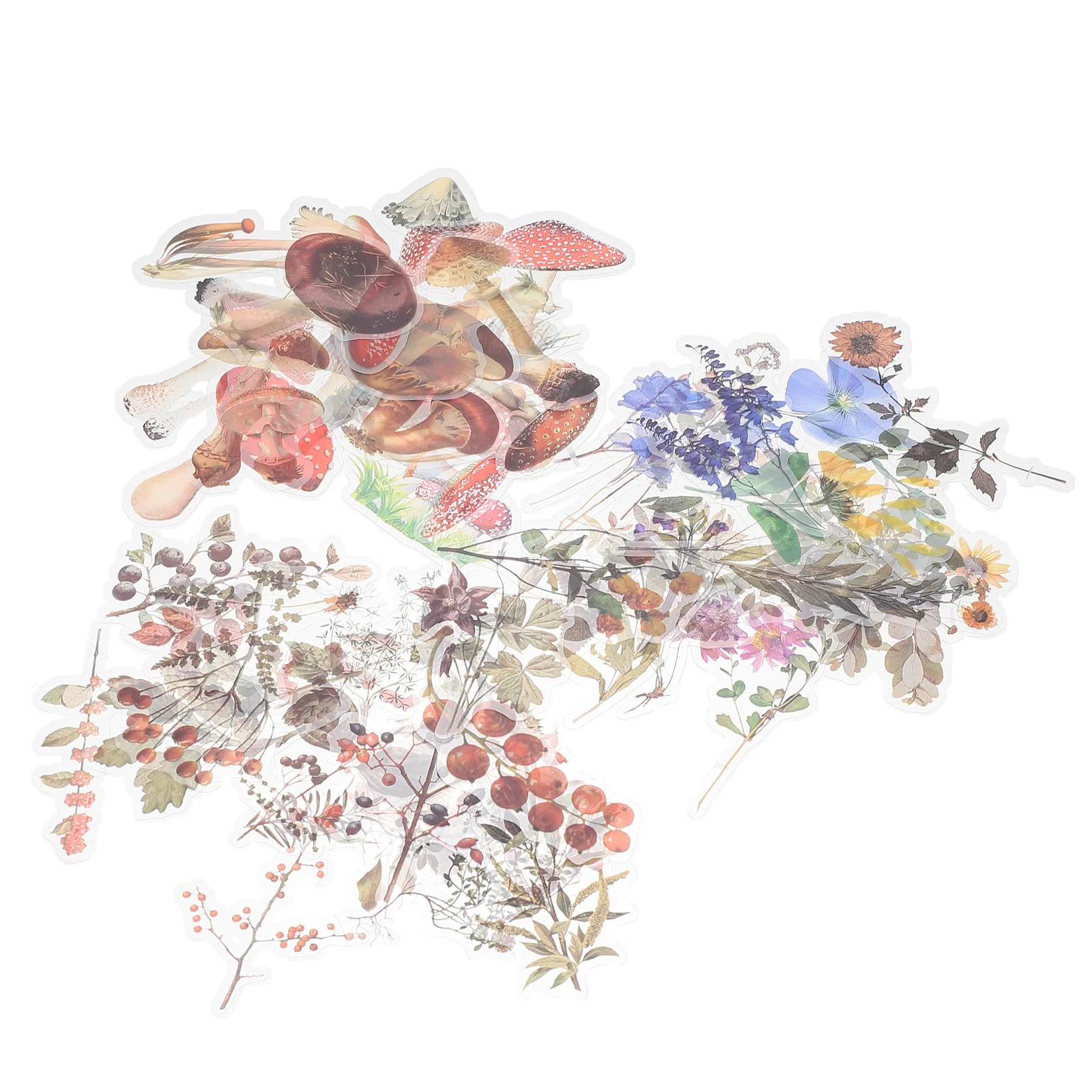 

Stickers Flower Sticker Scrapbook Paper Set Vintage Stationeryjournal Decorative Floral Decals Envelopesjournaling Nature