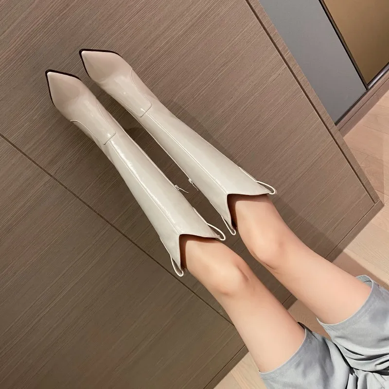 2021 Fashion New High Boots for Autumn and Winter Comfort and Warmth Plus Velvet High Heel Pointed Knight Boots Women Women's