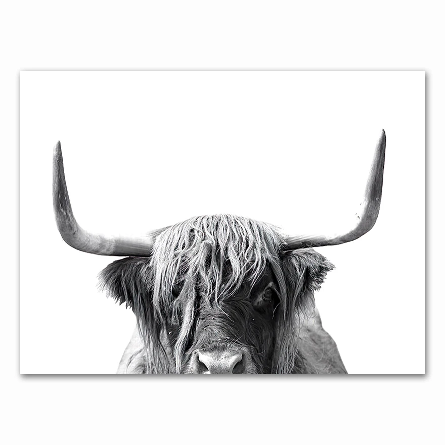 

Живопись "Черно-белая горная корова" AliPaint