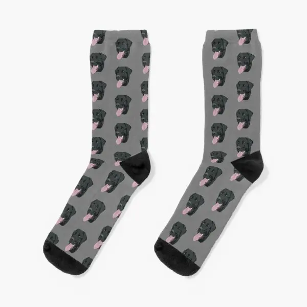 

Black Lab Crew Socks Ladies Mens Cute Unisex Women Autumn Short Best Comfortable Cotton Sports Breathable Funny Girls Pattern