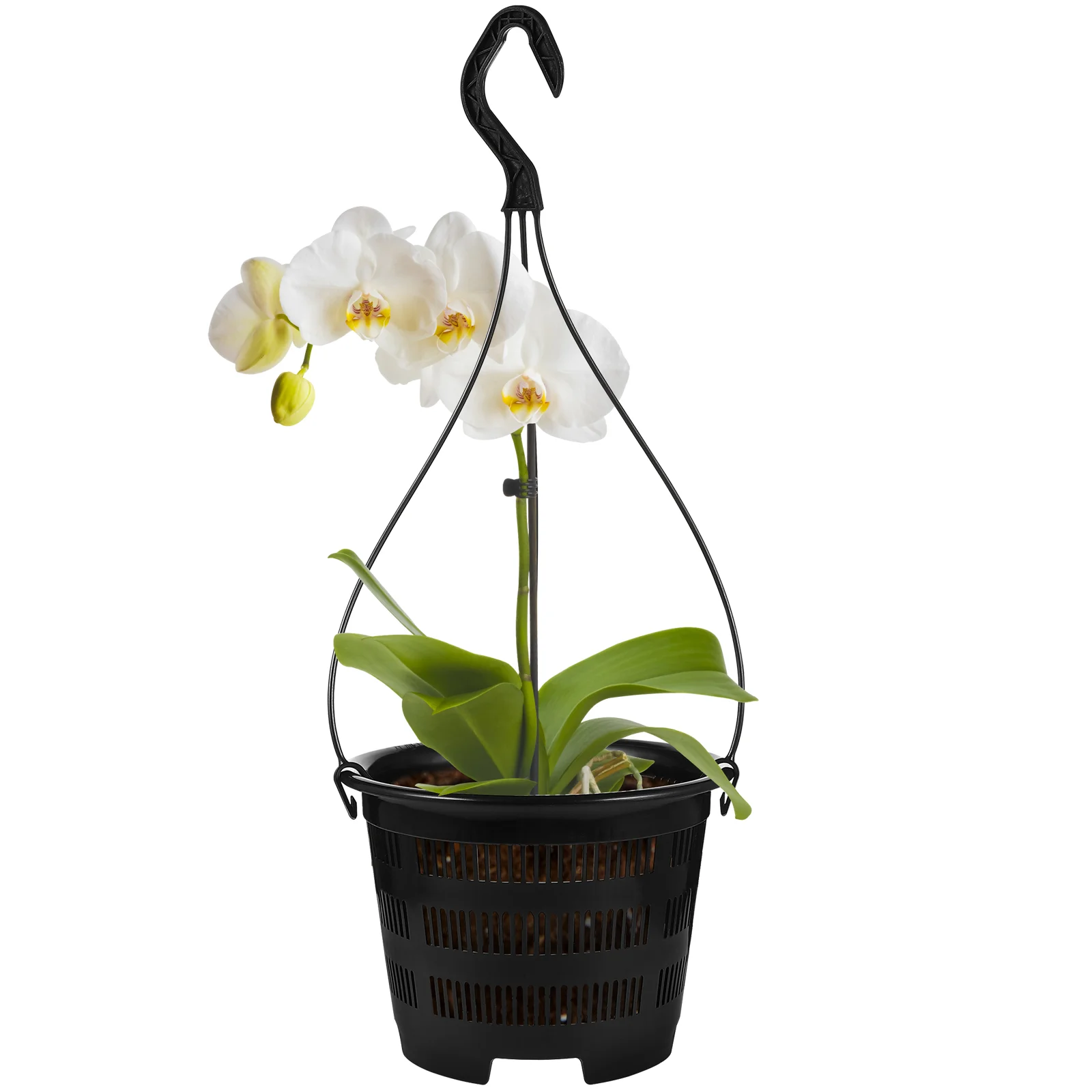 

5 Sets Hanging Basin Planters Indoor Plants Flower Pots Holder Railing Baskets Bucket Dendrobium Orchid Balcony