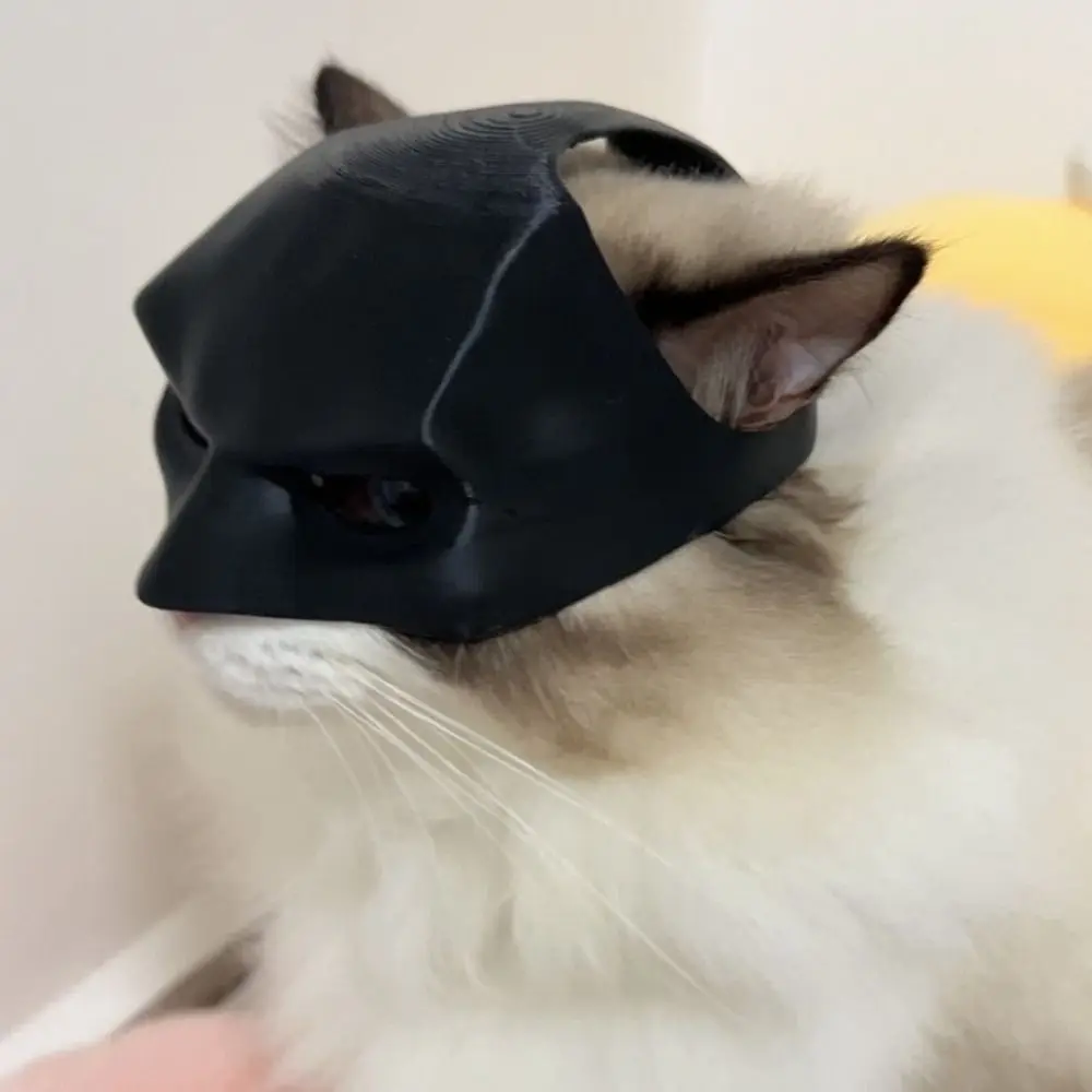 Новая черная маска летучая мышь кошка Милая матовая фотография классные игрушки