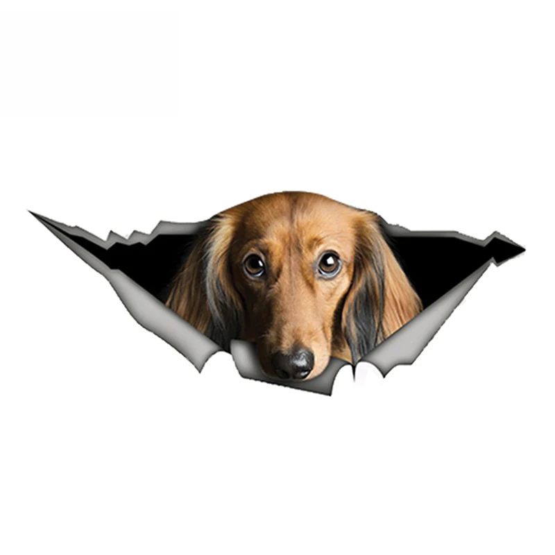

V121# Car Sticker Long-haired Dachshund Waterproof Vinyl Decal Car Accessories Pegatinas Para Coche DIY Car Styling