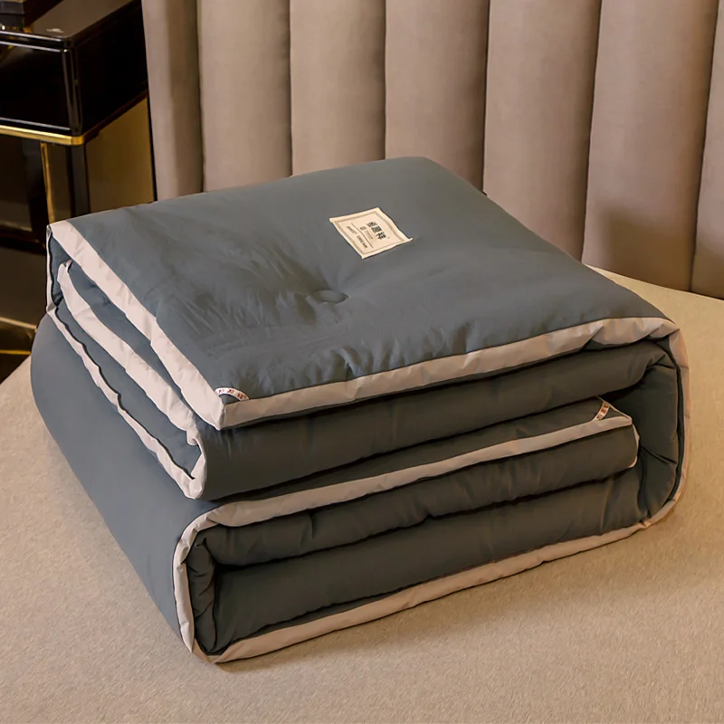 

Inner for Spring and Autumn Cotton Quilt Thickening Warm Winter Single Dormitory A Conditioning