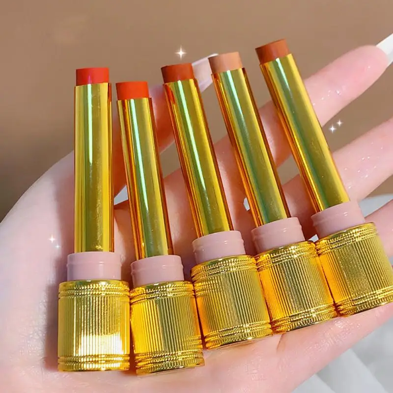 Бархатная помада 6 цветов искусственная водостойкая стойкая для макияжа губ