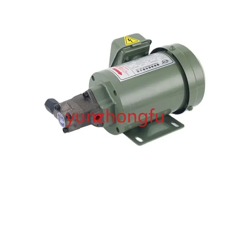 Циклоидный насос 220V Top-10A/11A/12A/13A