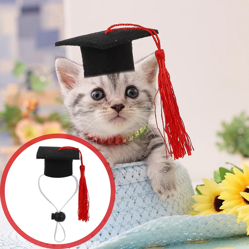 

2Pcs Hats Adorable Pet Dr Hats Pet Graduation Dr Hats Creative Graduation Hats for Pets Decoration Party