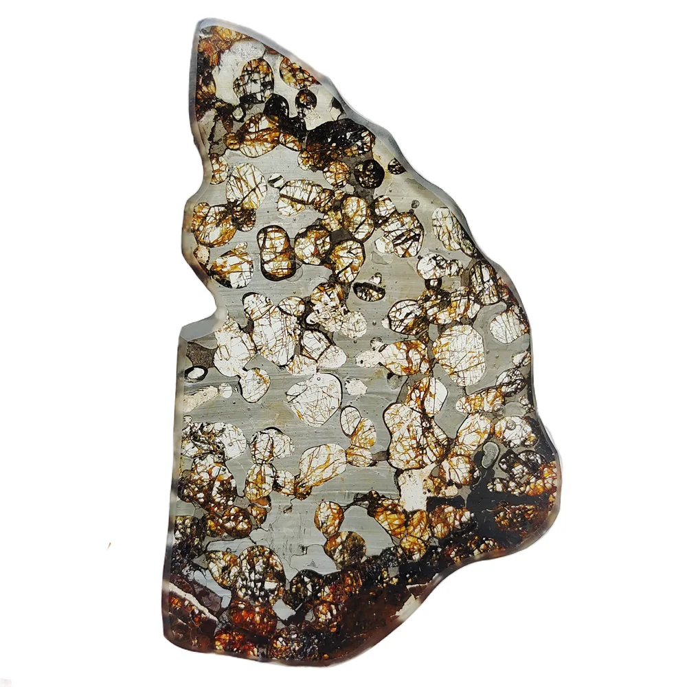 

Perfect Brenham Olive Meteorite Slices Olive Meteorite Specimens Natural Meteorite Material Artwork Collection