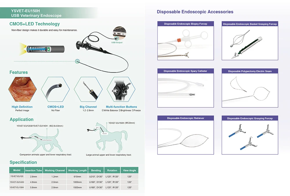 Флюоресцентный эндоскоп эквин кошка собака большие животные ветеринарный