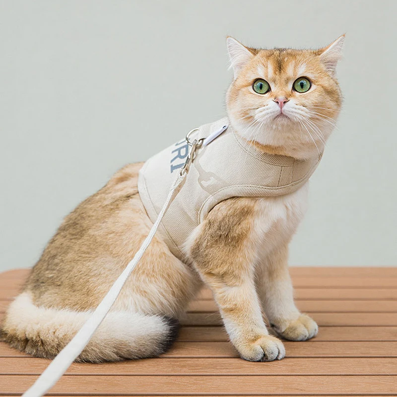 

Breathable Cat Harness and Leash Escape Proof Pet Clothes Kitten Puppy Dogs Vest Adjustable Easy Control Cat Dog Outdoor Harness