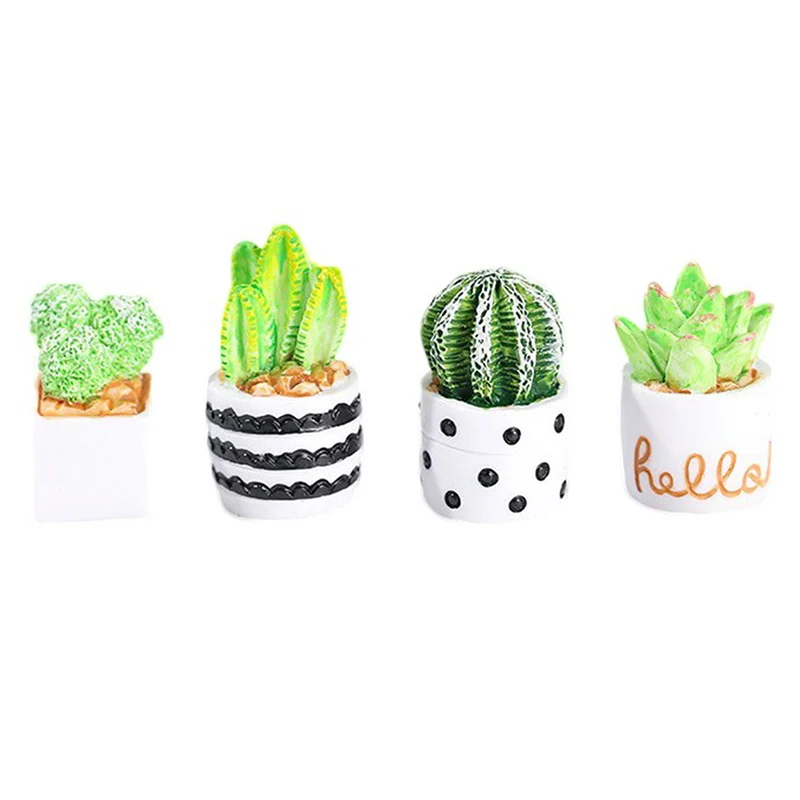 Мини Кактусы В Горшках Купить