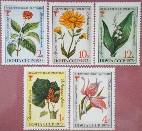 

5Pcs/Set New USSR CCCP Post Stamp 1973 Medicinal Plants and Flowers Postage Stamps MNH