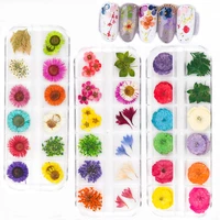 12 gridsset 3d dry flowers stickers real dried natural flower for nail art decoration tips diy manicure tools with box