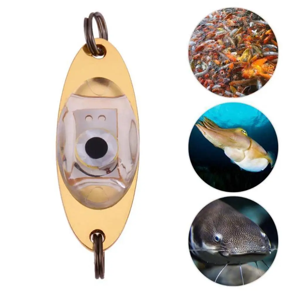 Купи Mini LED Fish Lamp Fishing Lure Light LED Deep Drop Underwater Eye Shape Fishing Squid Fishing Bait Luminous Lure за 46 рублей в магазине AliExpress