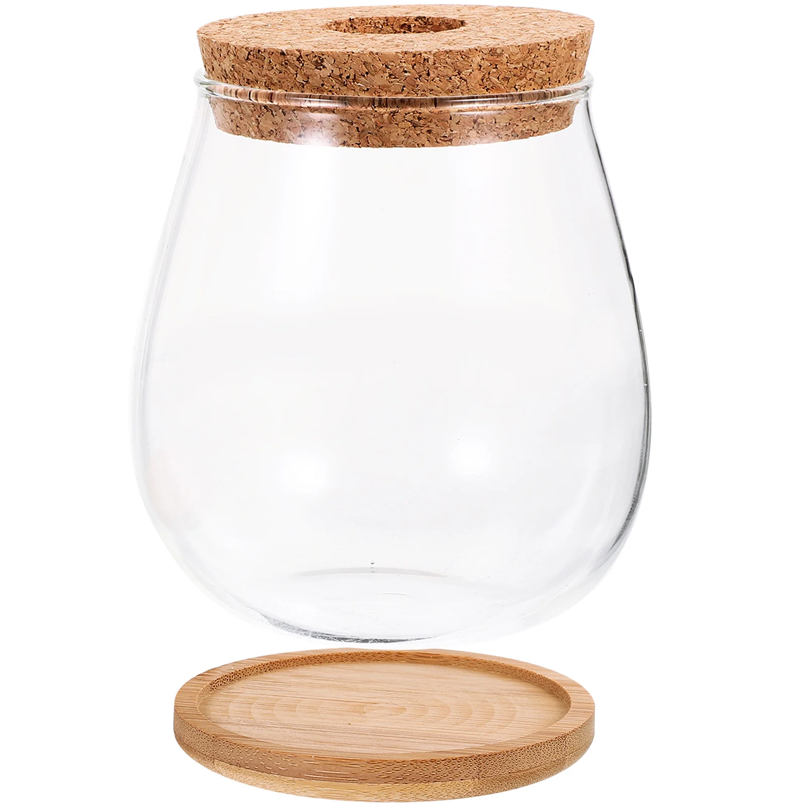 Гидропонная стеклянная ваза микропейзаж бутылка растения террариум контейнеры