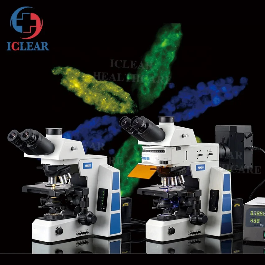 

Multi-functional 6 Digital Filter Lab Biological Fluorescence Microscope with Camera