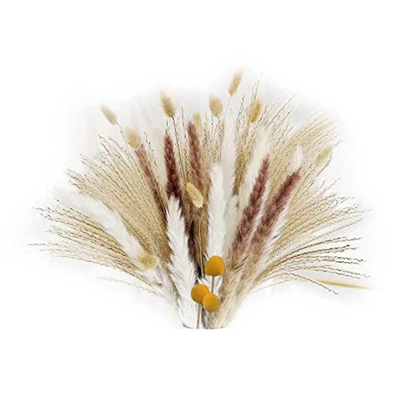 

63 шт. натуральный папирус, фотосессия 17 дюймов, подходит для гостиной, балкона, свадебной вечеринки