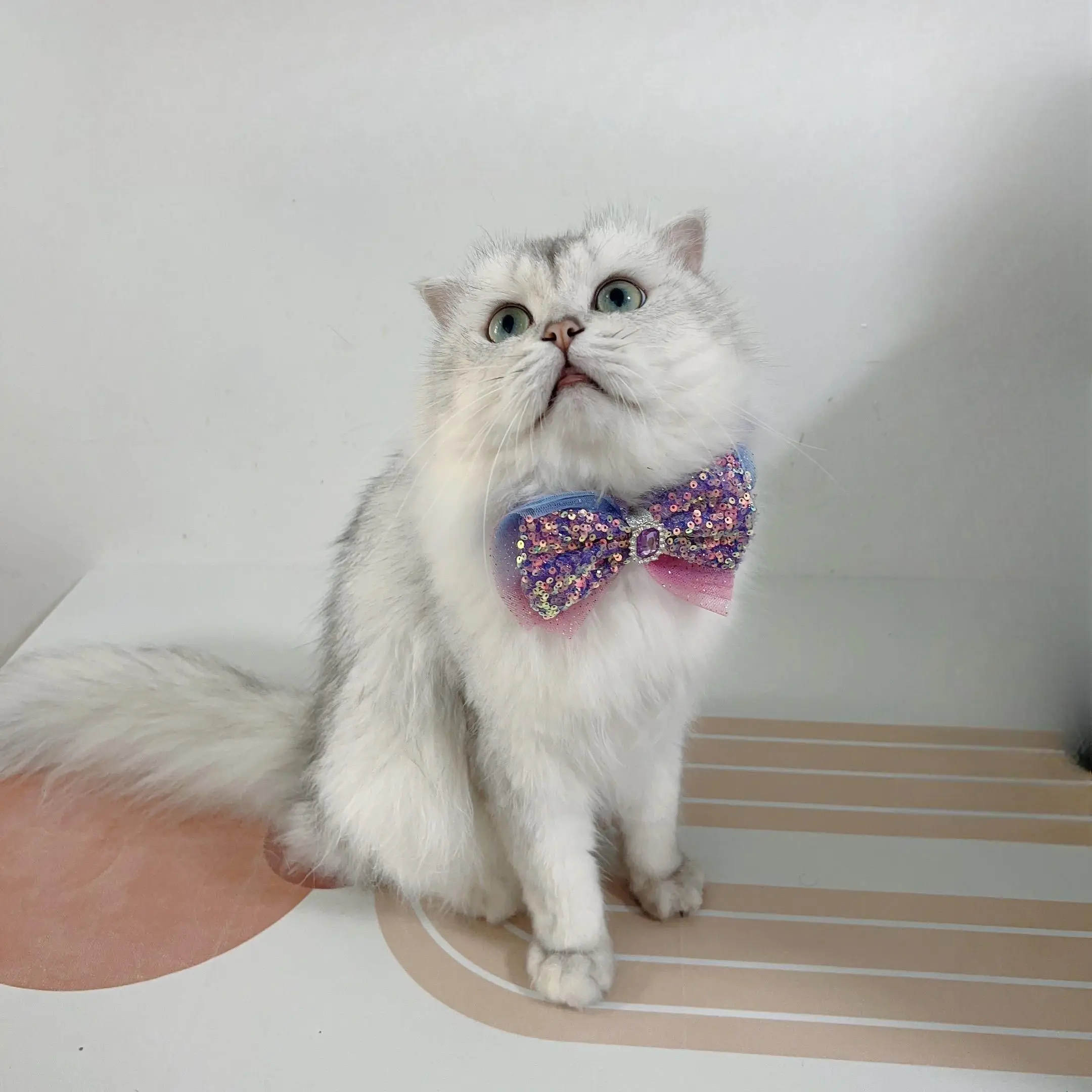 

Dogs &Cats Collar with Bowtie, Leather Bowtie Dog Collar with Glitter Sequins, for Small Medium Dogs & Cats