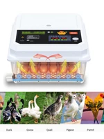 36pcs chicken eggs incubator double power supply 220110v automatic incubators egg hen chicken eggs industry high hatchability