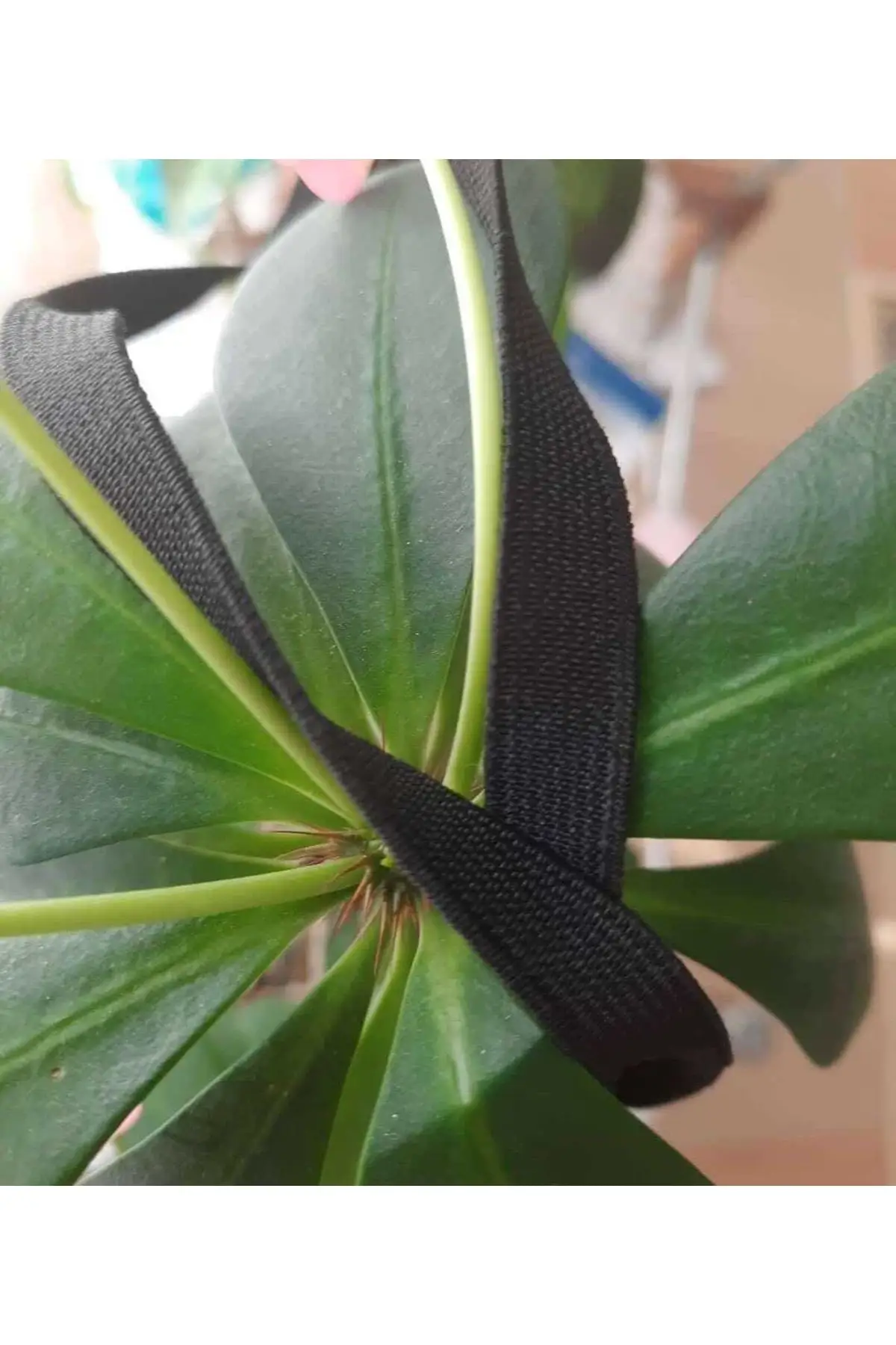 

1 Cm Waist, Tray And Don Tire Black Package 20 Meters Decorative Strip Hobby Supplies & Entertainment Life