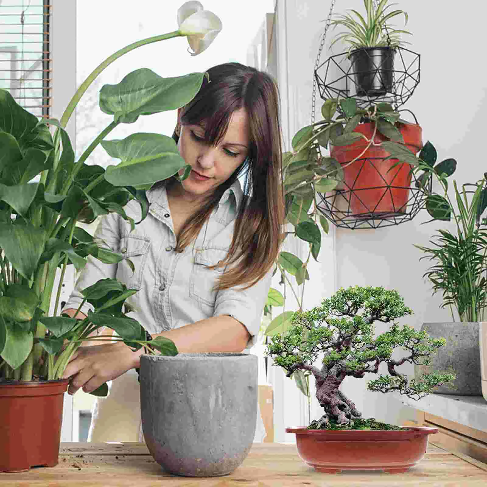 4 шт. пластиковый цветочный горшок бонсай овальные тренировочные горшки дерево