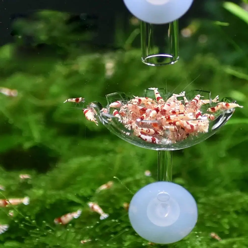

Aquarium Fish Tank Shrimp Food Feeder Clear Glass Feeding Tube Dish Suction Accessories