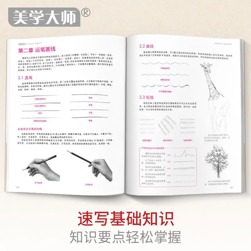 Рисунок 3 - Учебник по технике эскизов