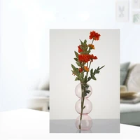 Aesthetic Vase Plants Centerpieces Glass Clear Pink Round Hydroponic Plante Vase Decoration Table Pots De Fleurs Simple Ornament