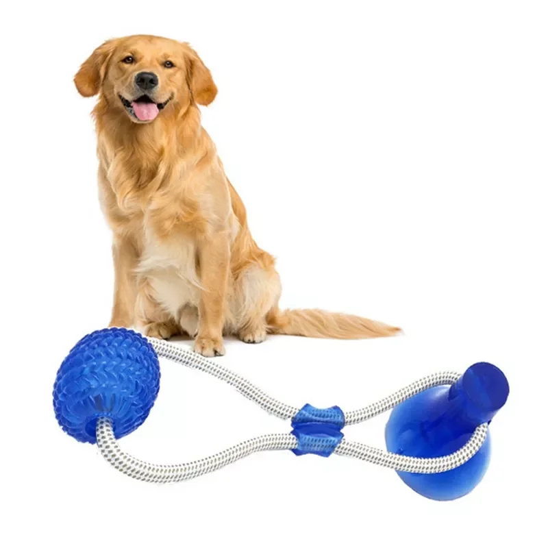 

2023NEW Toys with Suction Cup Dog Push Toy with TPR Ball Pet Tooth Cleaning Chewing Rubber Dog Toys for Small Dogs Toys