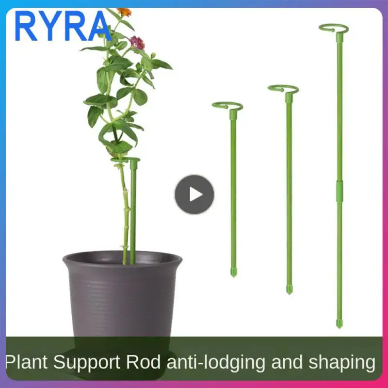 

Decorative Modeling Garden Climbing Pergola Prevents Bending And Tilting Easy To Use And Adjust Gardening Supplies High Quality