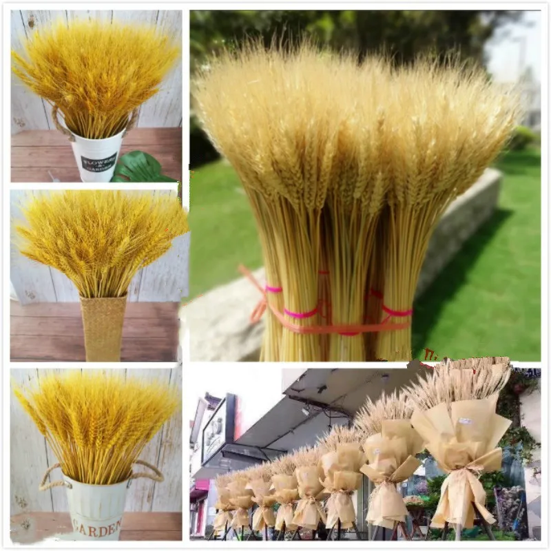 

50 Pcs Natural Wheat Ear Dried Flower Wedding Gift For Guest Artificial Plants For Decoration Bridal Wedding Bouquet Easter Dec
