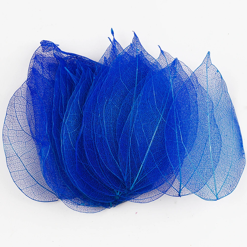 Lucia Crafts 36 шт многоцветные искусственные листья сухие Скрапбукинг Девушка для DIY