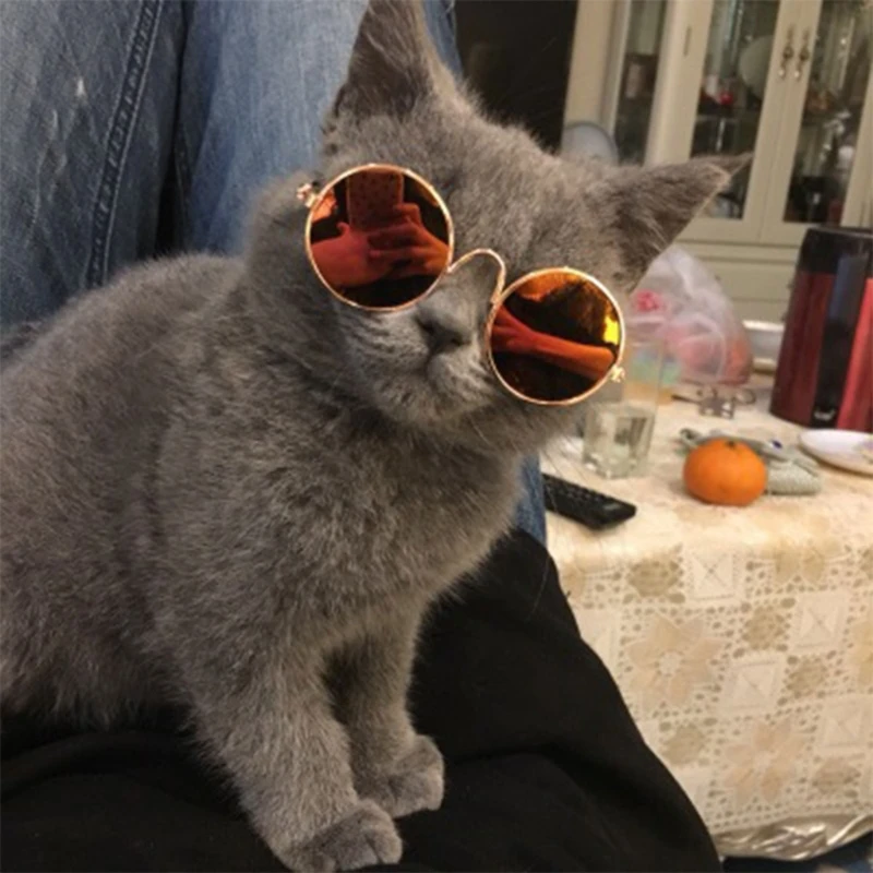 

Y5LE Cat Sunglasses Pet Sunglass Small Dogs Glasses Classical Retro Circular Eyewear Photos Props Costume Accessoy Cosplays