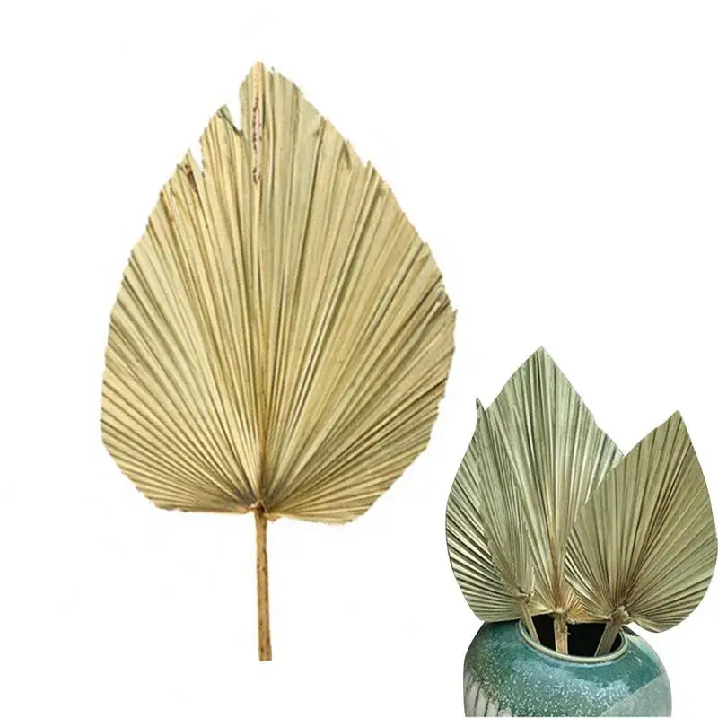 

Натуральный высушенный веер в виде листа кошачьего хвоста, веер в виде пальмового листа, художественный настенный веер для демонстрации окна, декор для свадебной арки, веер в виде копчика для пальмы