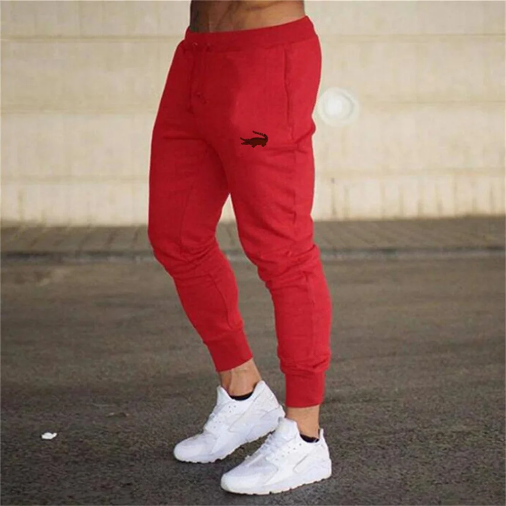 Spring Autumn Men Joggers Thin Pants New Brand Printed Male Trousers Casual Sweatpants Jogger Breathable Fitness Workout