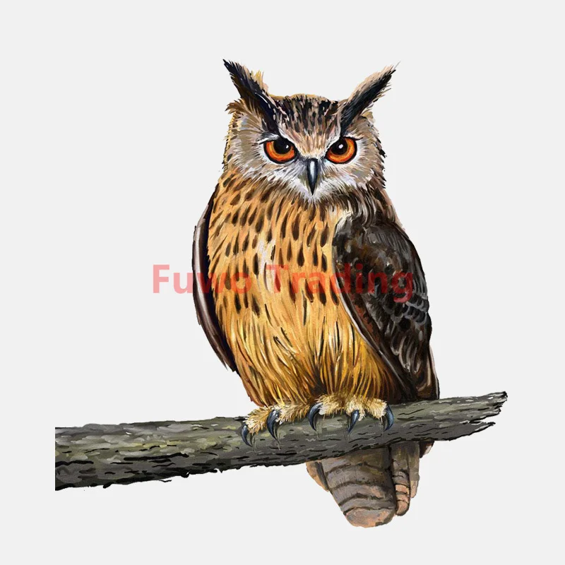 

Fuwo Trading Car Sticker Creativity Lifelike Owl Standing on A Branch Window Decoration Car Sticker PVC Best Selling Boutique