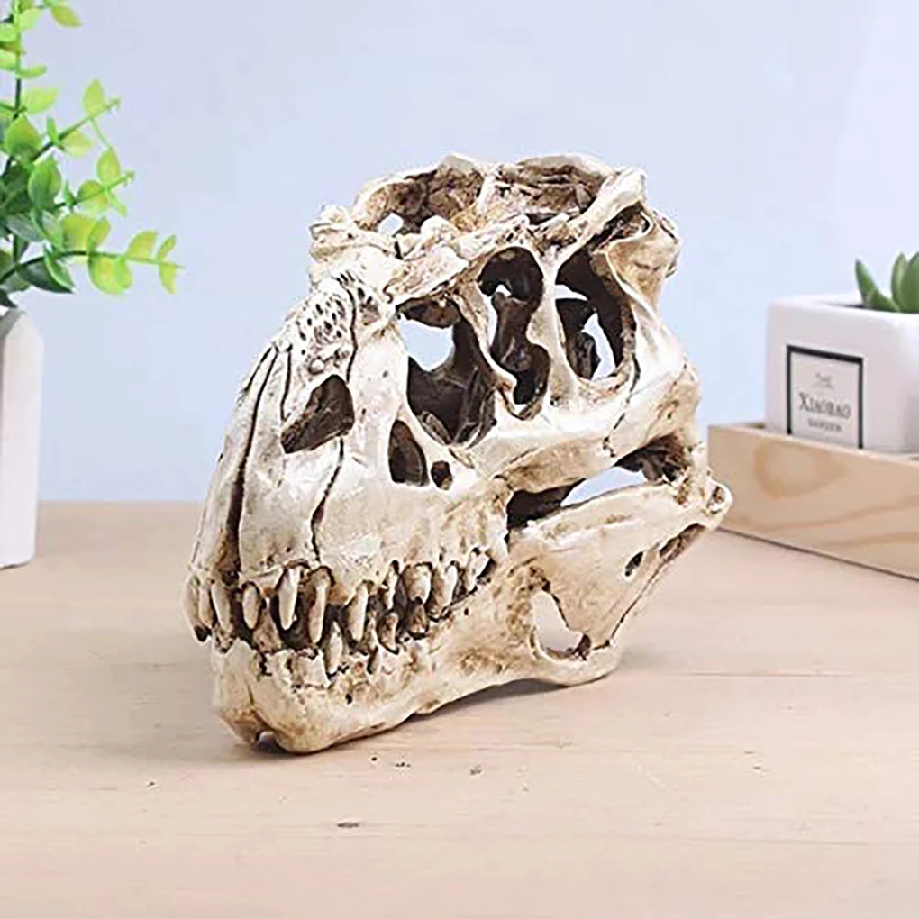 

Dinosaur Skull Dinosaur Resin Head Model Specimen for Handicraft Art