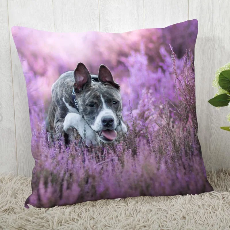 

Amstaff Dog Pillowcase For Living Room Pillow Cover 45X45cm,40X40cm(one sides) Pillow Case Modern Home Decorative 04.01