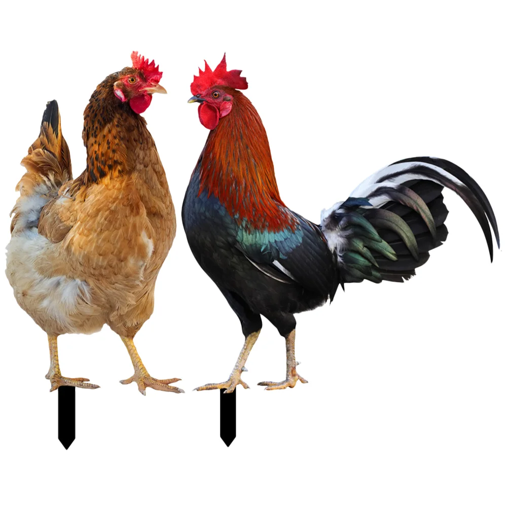 

2 Pcs Outdoor Statues Yard Animal Sign Stake Lawn Ornaments Decorations Chicken Garden Insert Backyard Decorative Inserts