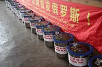 Белый чай GABA от бренда Nie Qun Hao (да, от Цюнь Не, он же "Чайный Олег")#4