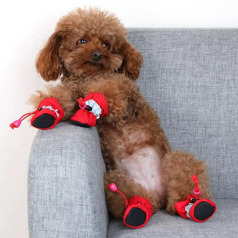 

New spring, autumn and winter dog shoes, soft bottom, breathable and waterproof