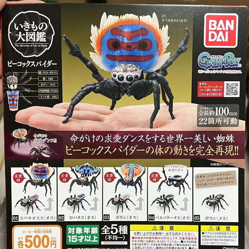 

Bandai Japan Original Gashapon Cute Insects Model Simulation Animal Joint Movable Peacock Spider Kawaii Capsule Toys Gif