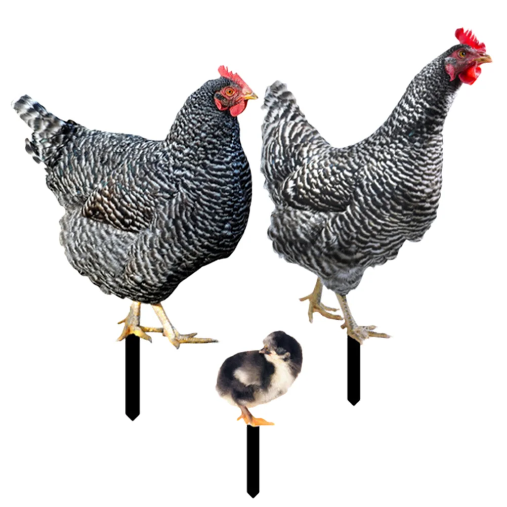 

3 Pcs Garden Chicken Stake Outdoor Signs Accessories Chicken Yards Stake Acrylic Deco