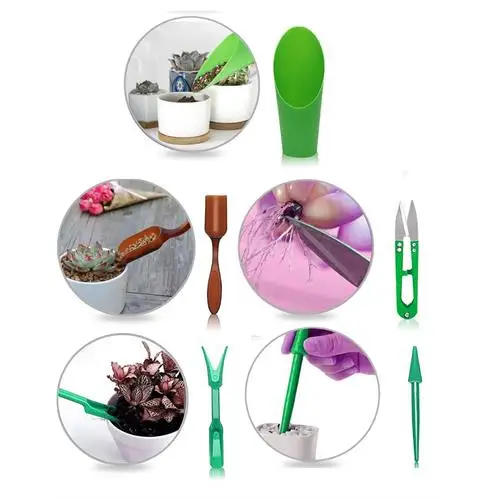 

Домашний зеленый Sukkulent кактус, набор для посадки 715721