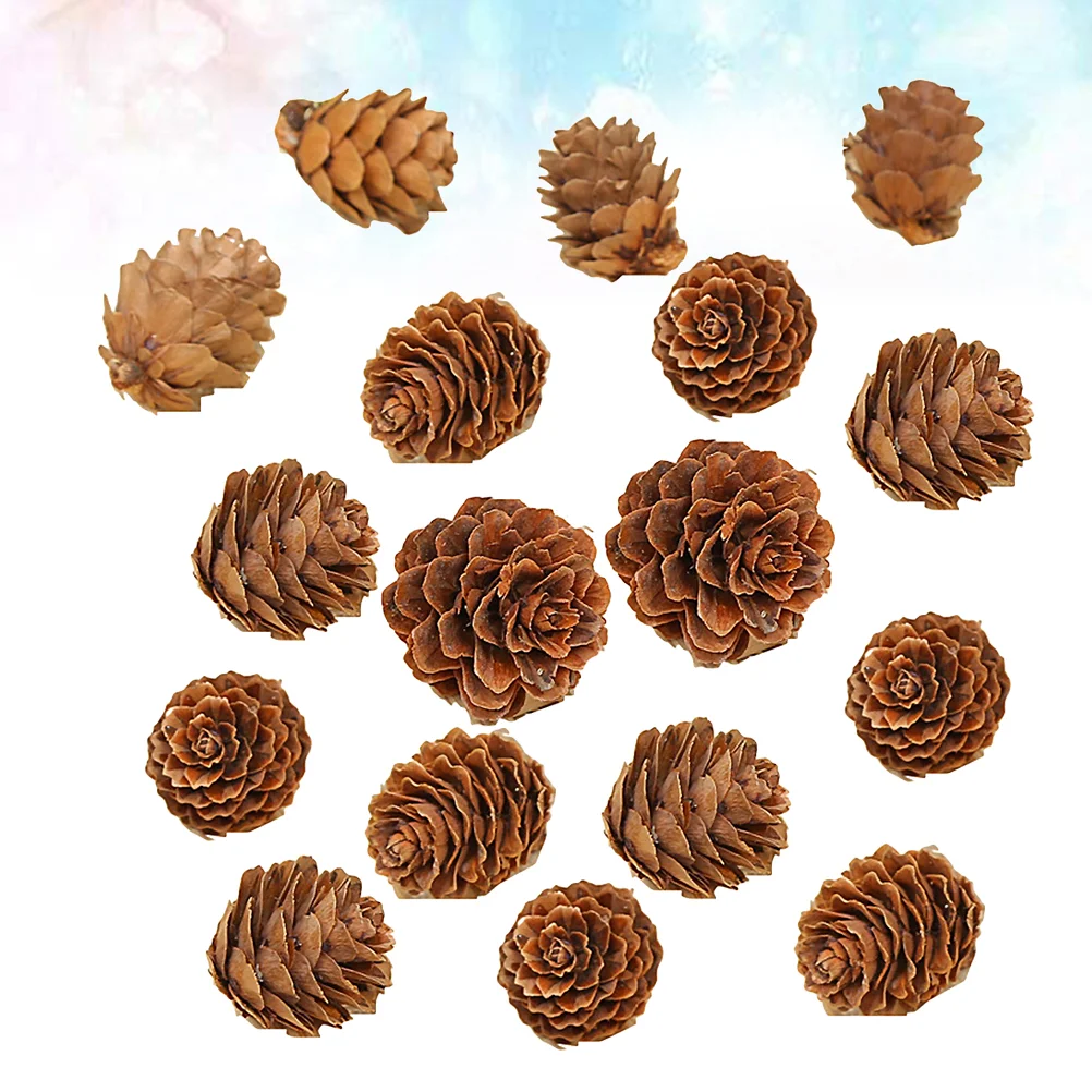 210 шт. сосновые шишки для фотографий декор растений рождественские украшения